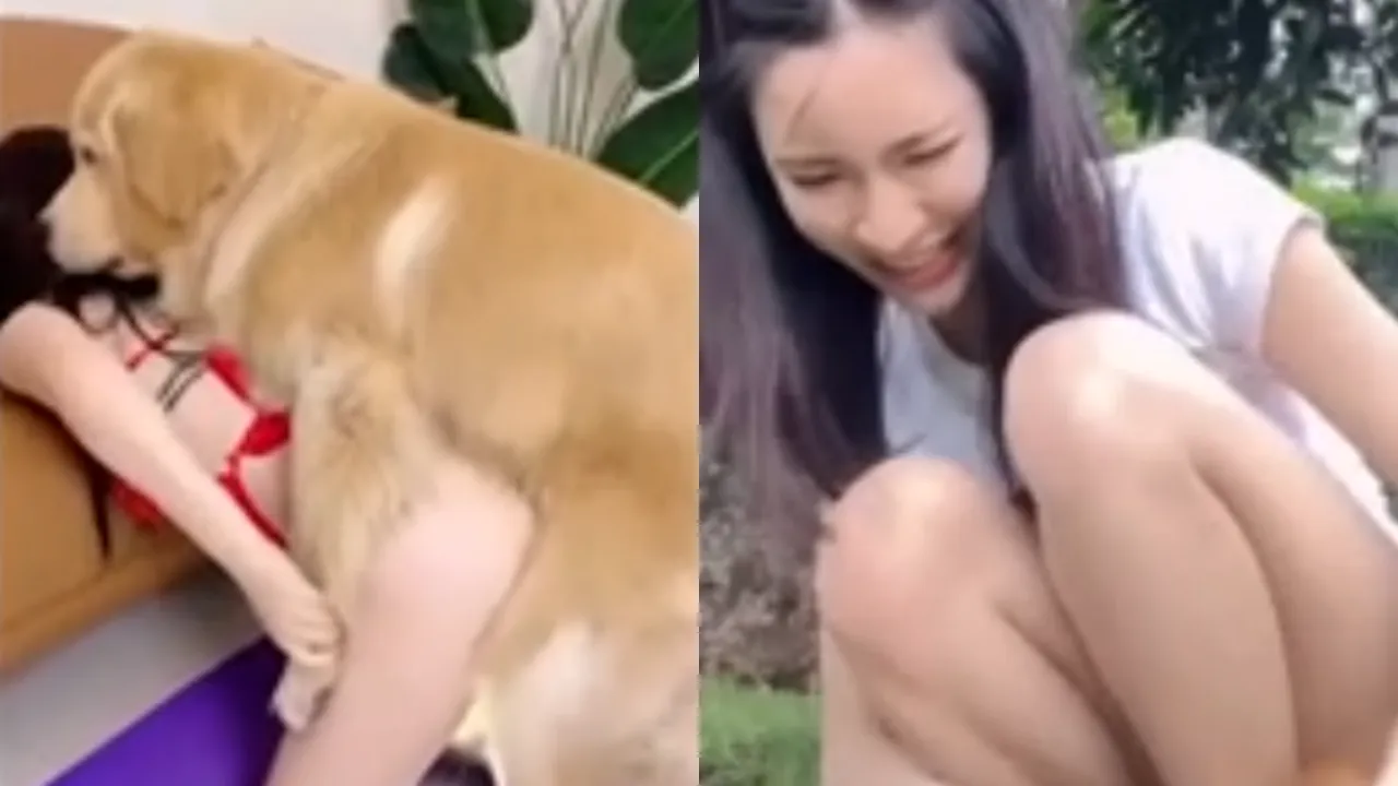 寂寞女人在家撅起自己的屁股被狗狗鸡巴在骚逼里面快速的抽插 骚叫不断