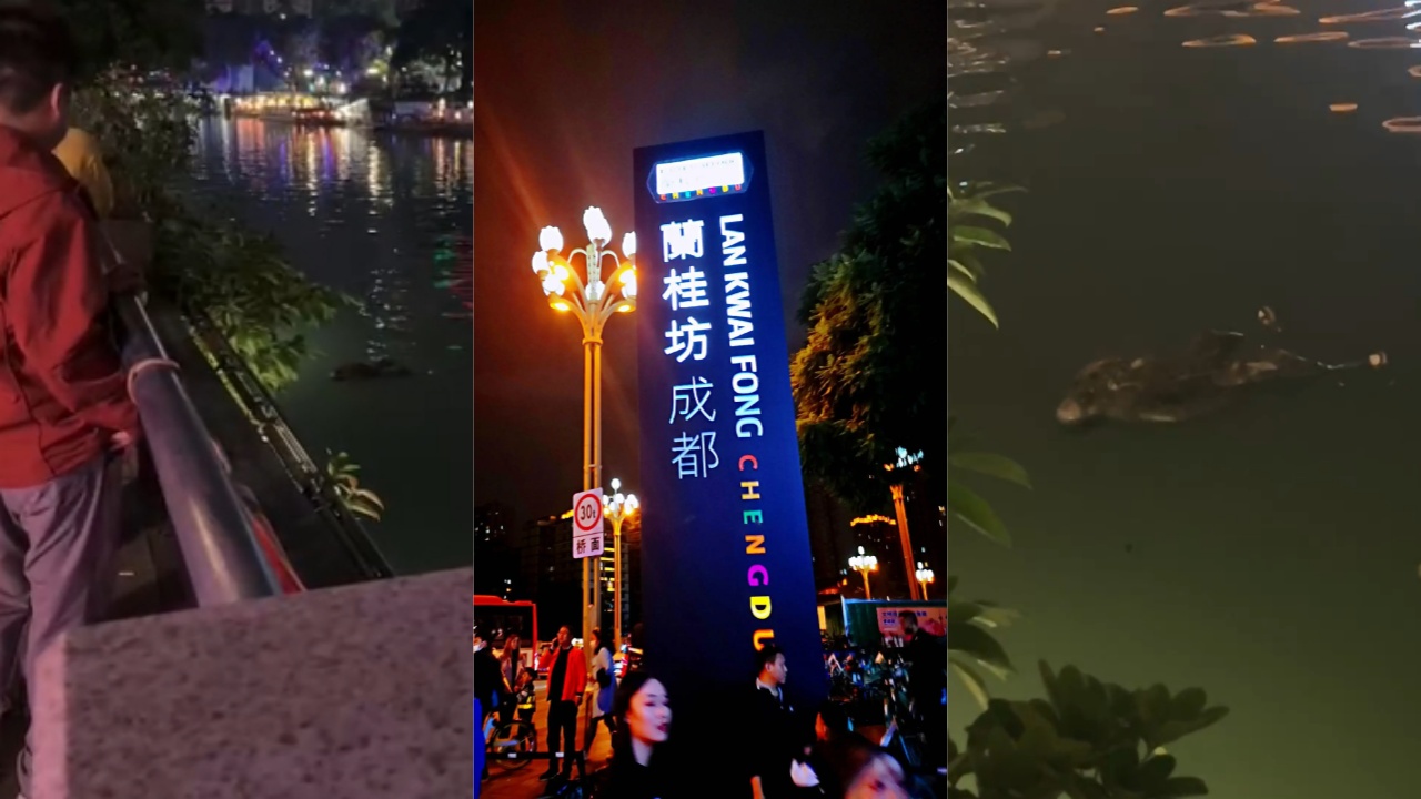 高清无码！成都兰桂坊惊现身穿AJ的浮尸 网传是被陪酒小姐姐伤了心而自杀
