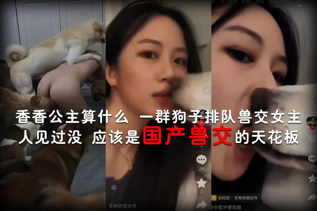香香公主算什么 一群狗子排队兽交女主人见过没 应该是国产兽交的天花板了